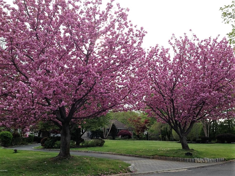 Resources Real Estate Luxury Real Estate in Monmouth County, NJ 732-212-0440